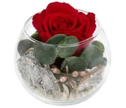 Dehner Kugelglas mit Longlife-Rose Amelie, rot, ca. Ø10/H10 cm