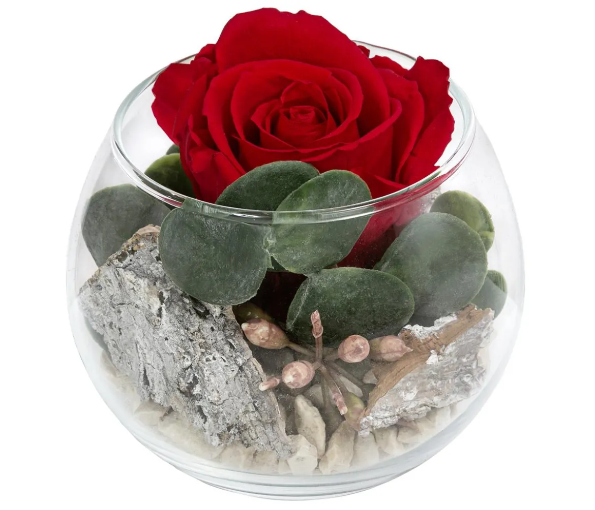 Dehner Kugelglas mit Longlife-Rose Amelie, rot, ca. Ø10/H10 cm