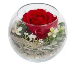 Dehner Kugelglas mit Longlife-Rose Diana, rot, ca. Ø10/H10 cm