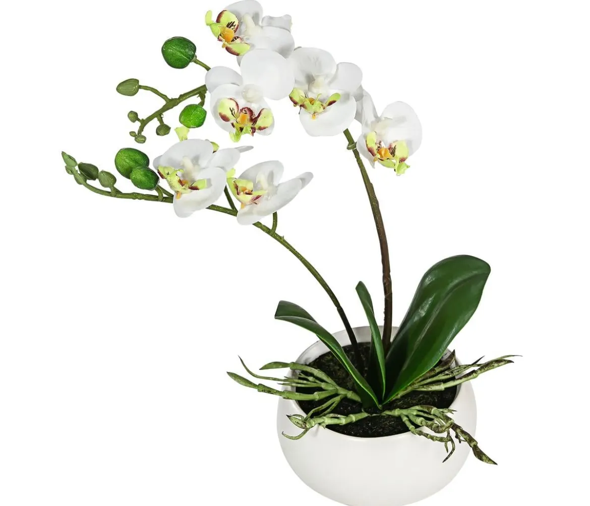 Dehner Kunstpflanze Mini-Orchidee Phalaenopsis, weiß