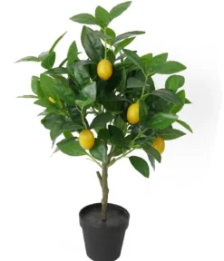 Dehner Kunstpflanze Zitronenbaum