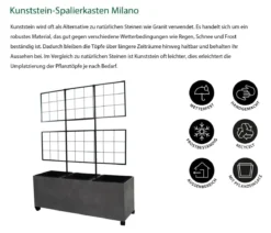 Dehner Kunststein-Spalierkasten Milano mit Rollen + 3 Pflanzeinsätzen, grau, ca. B100/H130/T35 cm