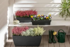 Dehner Kunststoff-Blumenkasten Pisa, ca. B60/H20/T20 cm, anthrazit