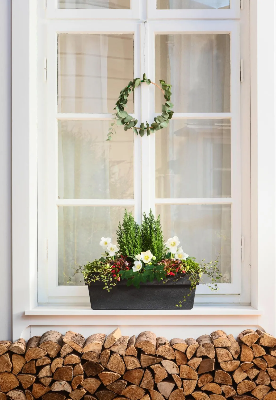 Dehner Kunststoff-Blumenkasten Pisa, ca. B60/H20/T20 cm, anthrazit