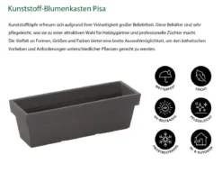 Dehner Kunststoff-Blumenkasten Pisa, ca. B60/H20/T20 cm, anthrazit
