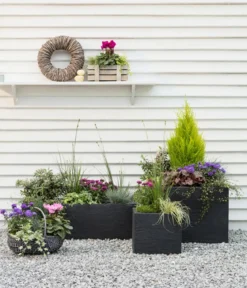 Dehner Kunststoff-Blumenkasten Palermo, ca. B80/H27/T30 cm