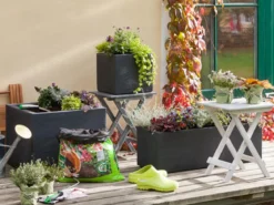 Dehner Kunststoff-Blumenkasten Palermo, ca. B80/H27/T30 cm