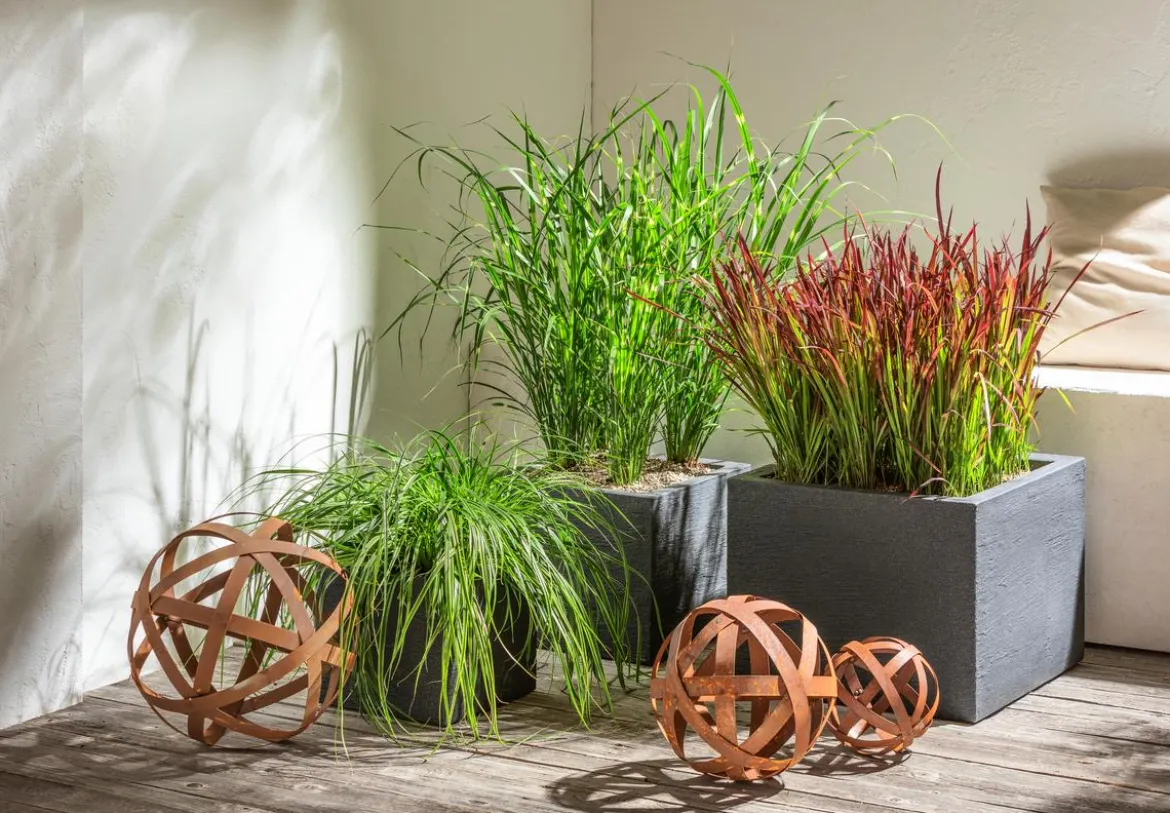 Dehner Kunststoff-Blumenkübel Palermo, quadratisch