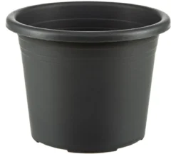 Dehner Kunststoff-Blumentopf Cylindro, rund