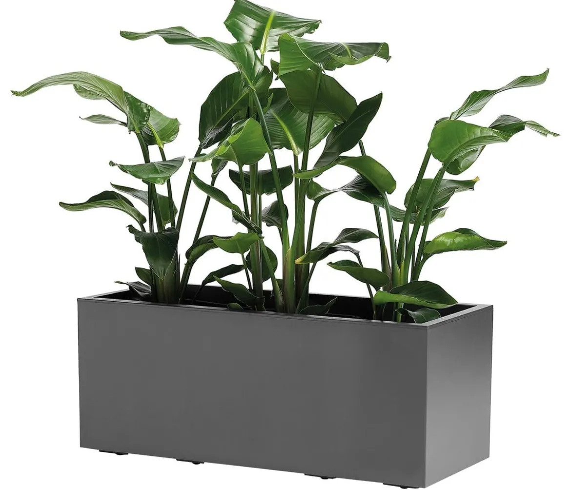 Dehner Kunststoff-Kasten Kebe, rechteckig, ca. B100/H40/T40 cm