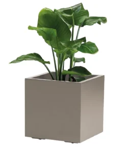 Dehner Kunststoff-Topf Kebe, quadratisch, ca. B40/H40/T40 cm