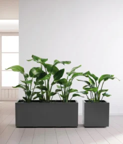 Dehner Kunststoff-Topf Kebe, quadratisch, ca. B40/H40/T40 cm