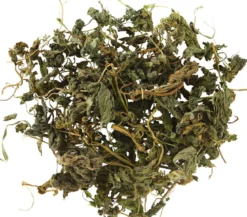 Dehner Lieblinge Brennnessel, 80 g