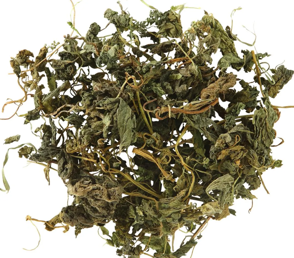 Dehner Lieblinge Brennnessel, 80 g