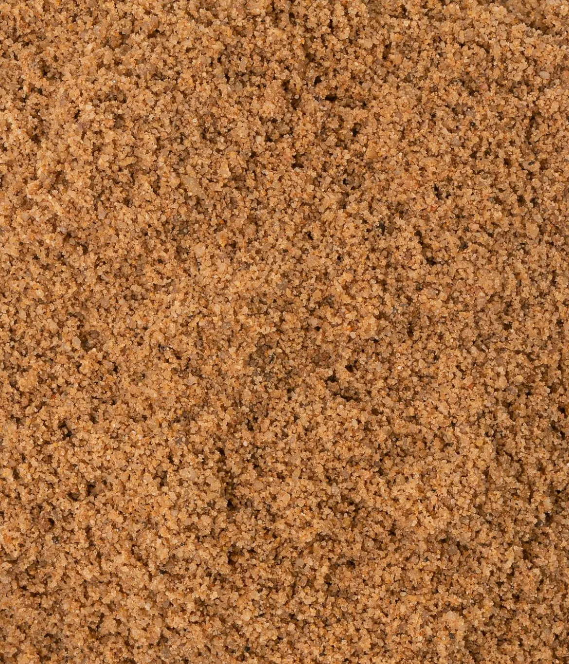 Dehner Lieblinge Buddelsand, 5 kg