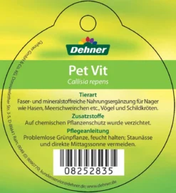Dehner Lieblinge Callisie 'PetVit'