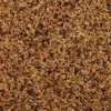 Dehner Lieblinge Feinsämereien, 500 g