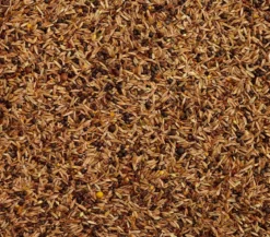 Dehner Lieblinge Feinsämereien, 500 g