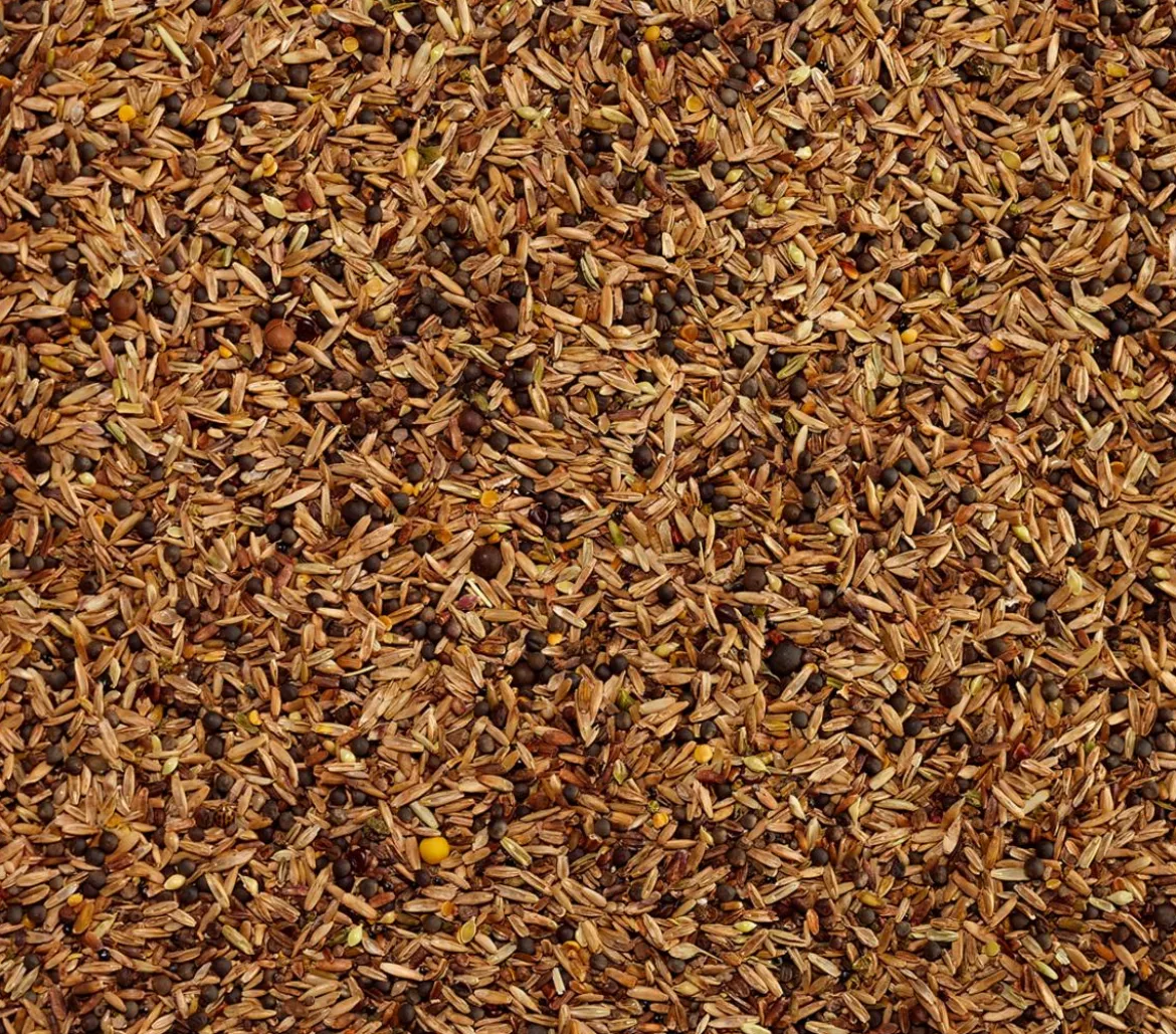 Dehner Lieblinge Feinsämereien, 500 g