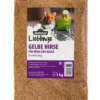 Dehner Lieblinge Gelbe Hirse, 1 kg