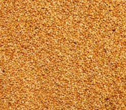 Dehner Lieblinge Gelbe Hirse, 1 kg