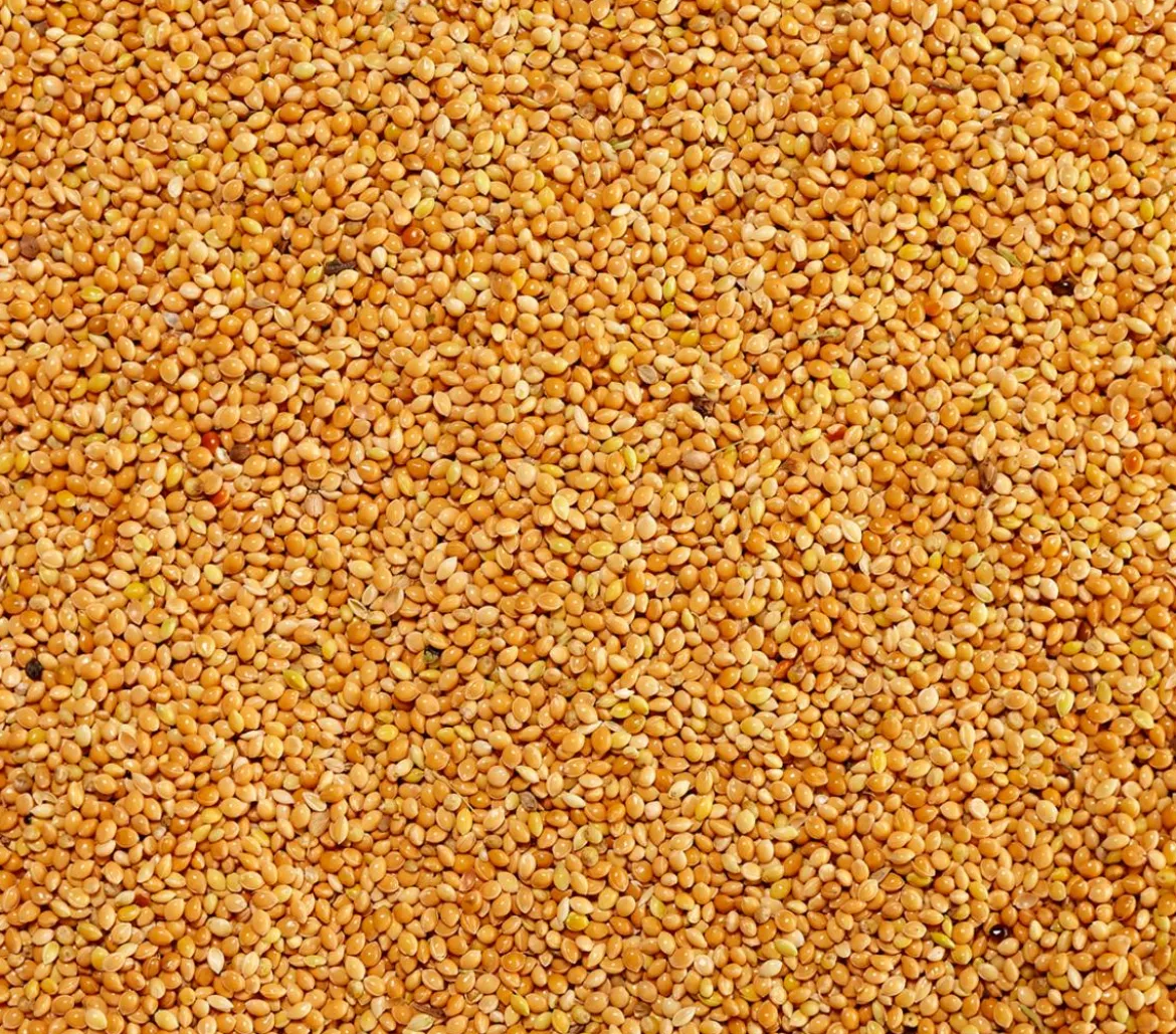 Dehner Lieblinge Gelbe Hirse, 1 kg