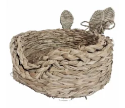 Dehner Lieblinge Graskorb-Set Lilly, Schilfgras, 2-teilig