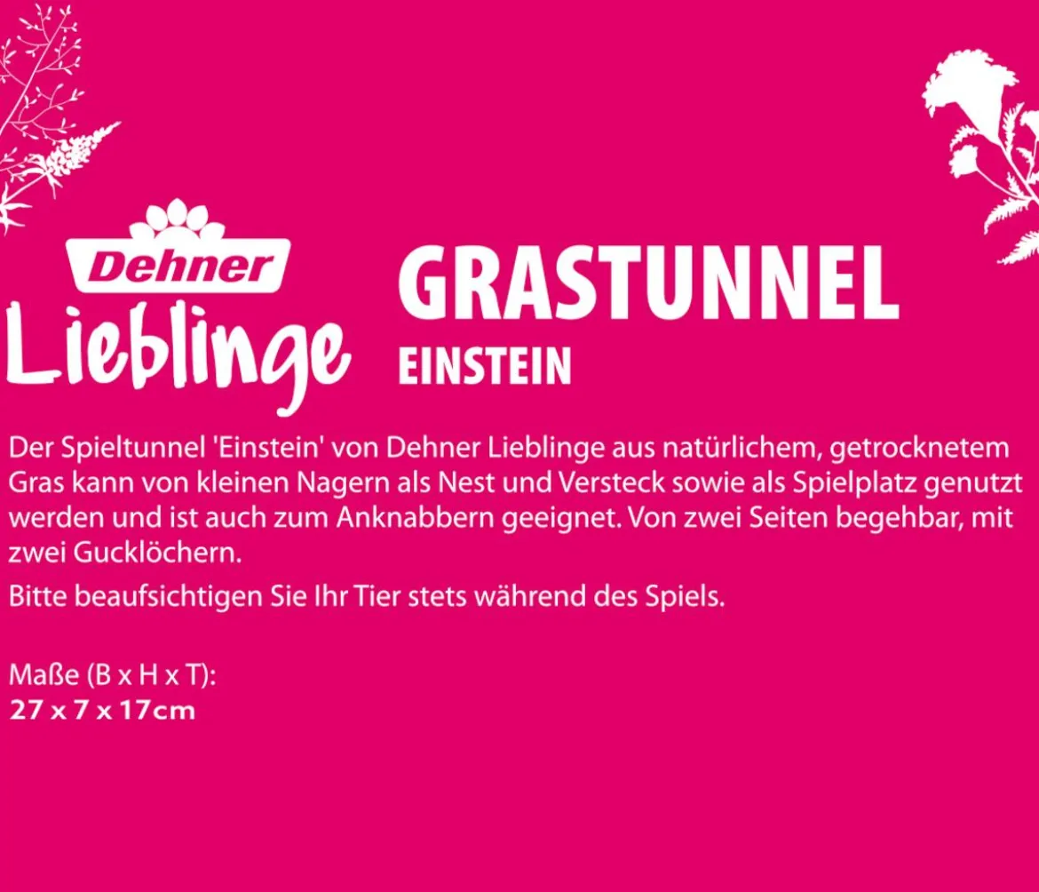 Dehner Lieblinge Grastunnel Einstein