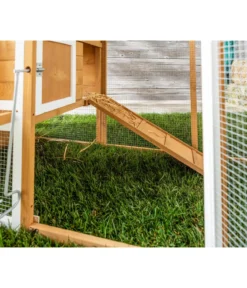 Dehner Lieblinge Hühnerstall Chicken House, ca. B247/H103/T75 cm