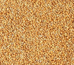 Dehner Lieblinge Honigfutter für Sittiche und Exoten, 20 g