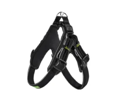 Dehner Lieblinge Hundegeschirr Zirkon
