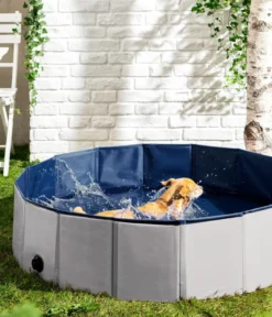Dehner Lieblinge Hundepool Water Fun, ca. Ø120/H30 cm