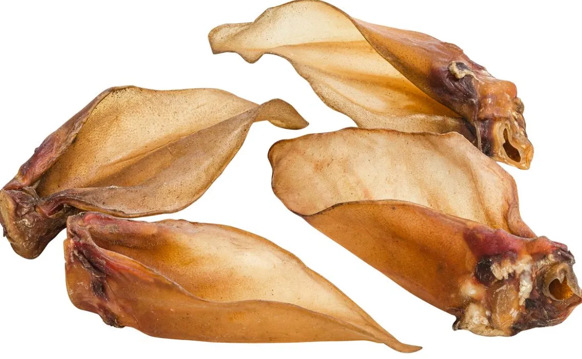 Dehner Lieblinge Hundesnack Ganze Rinderohren mit Muschel, 660 g