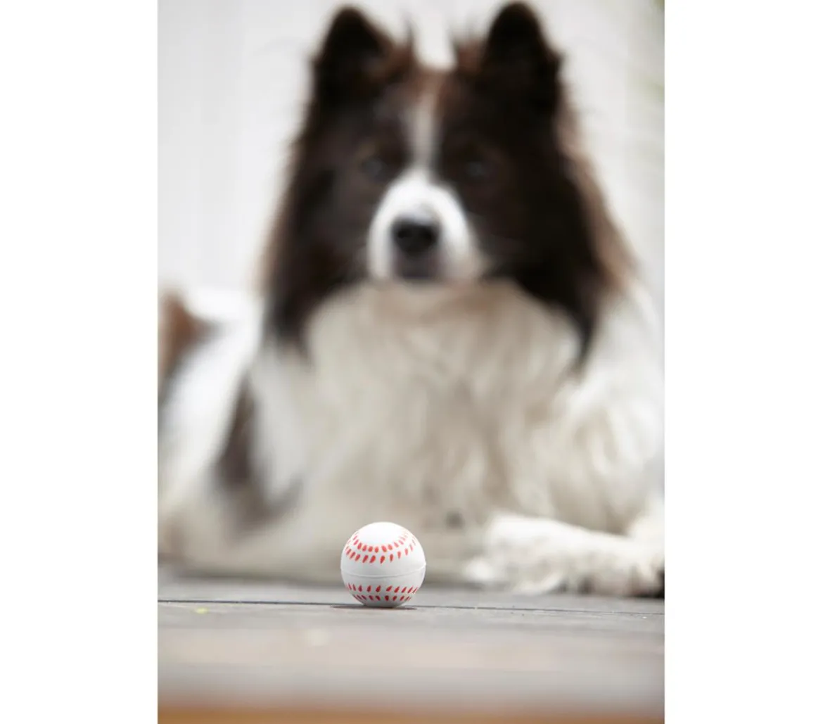 Dehner Lieblinge Hundespielzeug Spielball Sporty