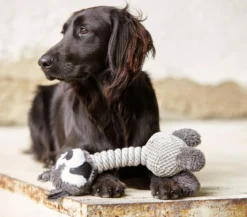 Dehner Lieblinge Hundespielzeug Racoon