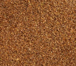 Dehner Lieblinge Japanhirse, 1 kg