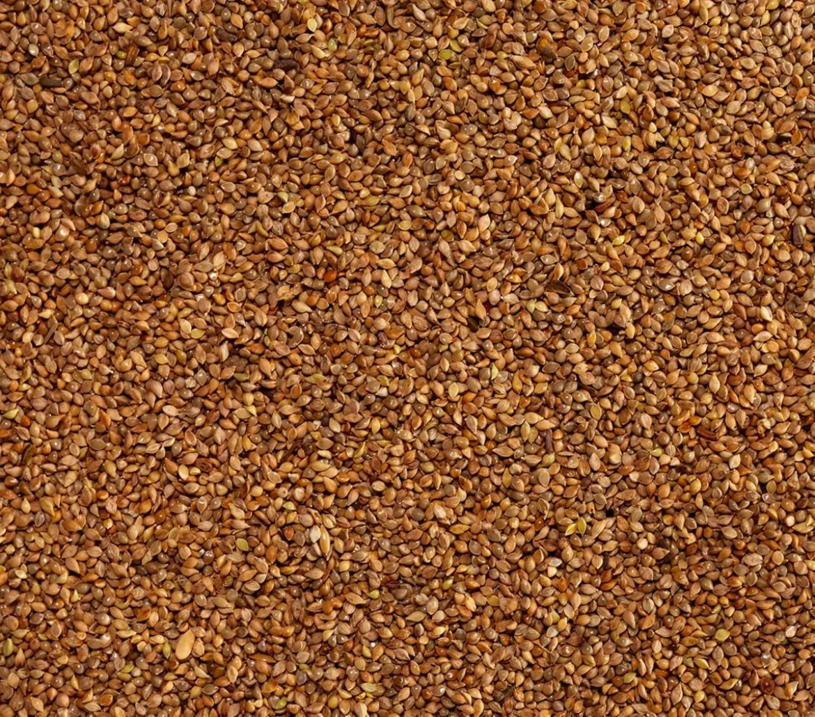 Dehner Lieblinge Japanhirse, 1 kg