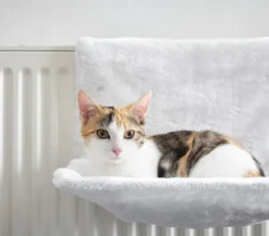 Dehner Lieblinge Katzen-Heizungshängematte Homey
