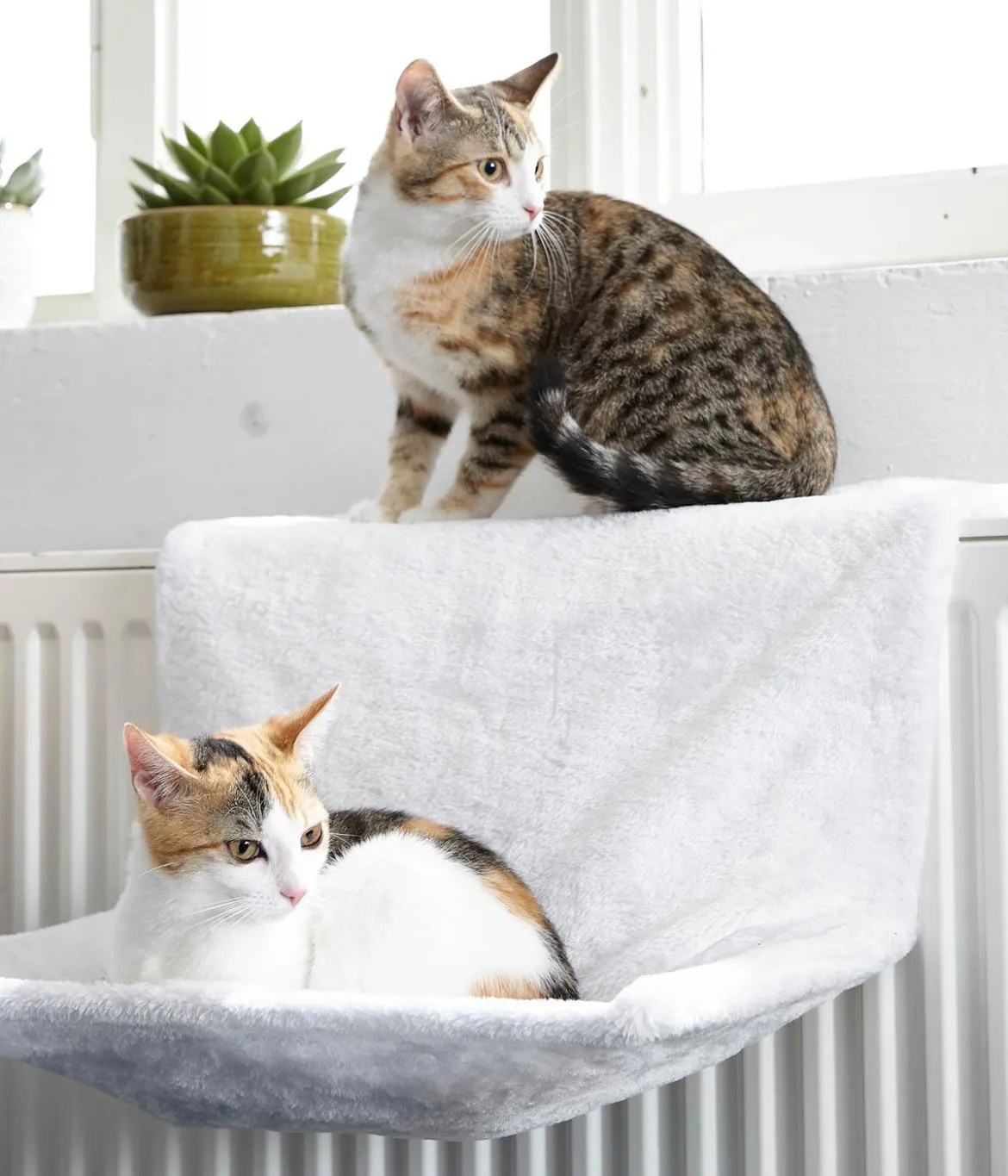 Dehner Lieblinge Katzen-Heizungshängematte Homey
