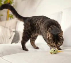 Dehner Lieblinge Katzenspielzeug Spielmäuse Funny, 2er-Set