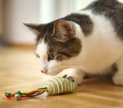 Dehner Lieblinge Katzenspielzeug Spielmäuse Funny, 2er-Set