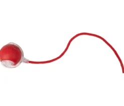 Dehner Lieblinge Katzenspielzeug Rolling, ca. B5,9/H4,9/T36 cm