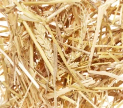 Dehner Lieblinge Kleintierstroh, 600 g