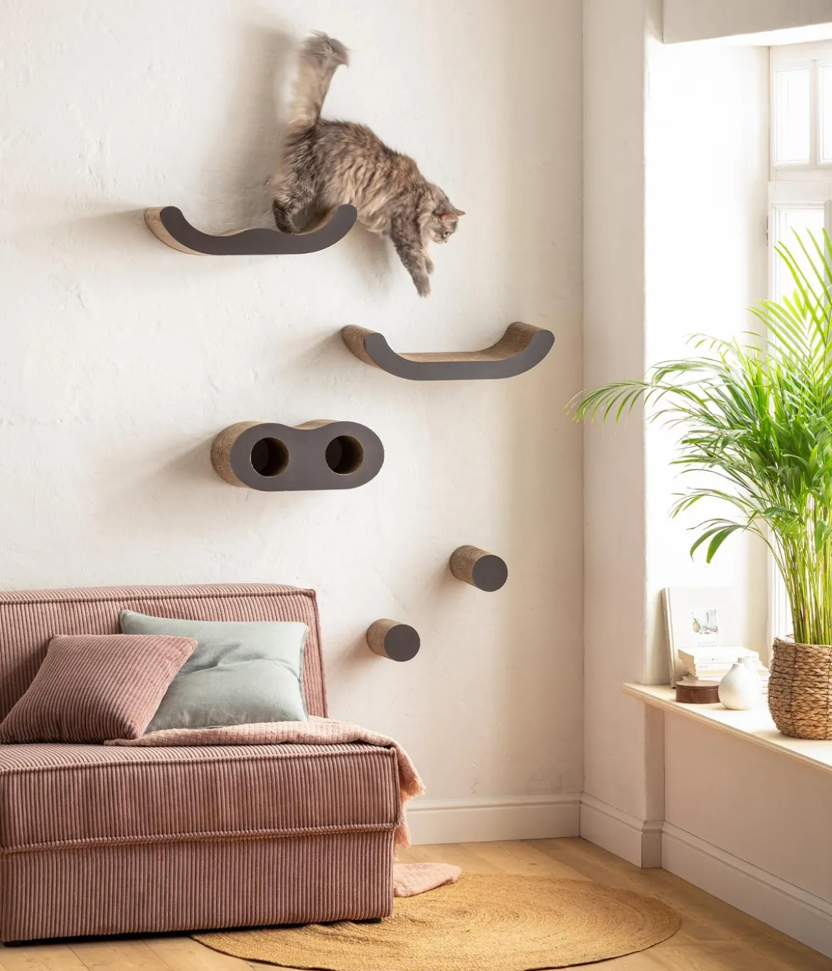 Dehner Lieblinge Kletterwand Sidney, 5-teilig