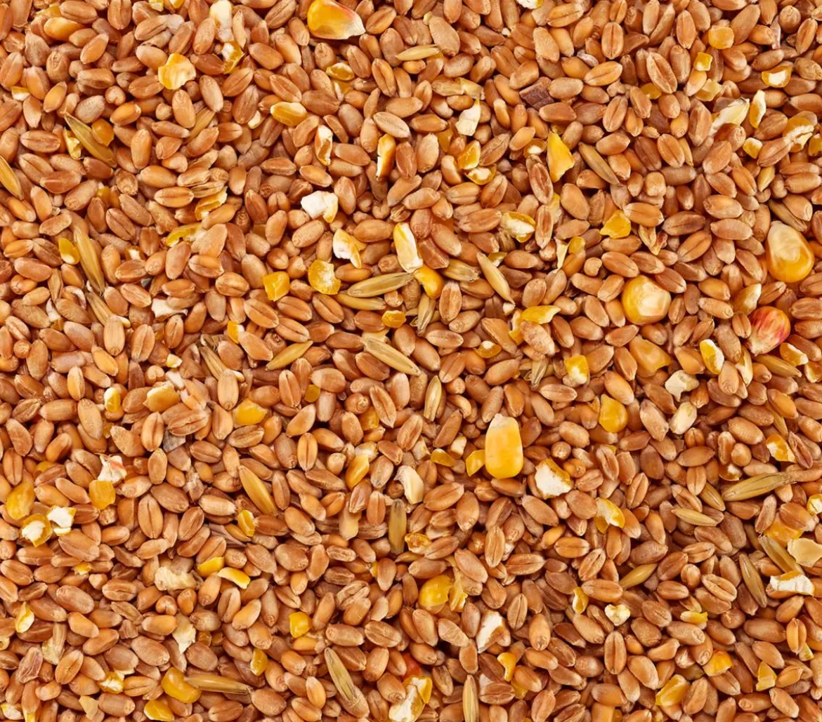 Dehner Lieblinge Körnerfutter für Ziergeflügel, 5 kg