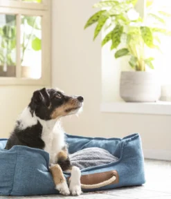 Dehner Lieblinge Kuschelbett Cyrus, rechteckig, blau