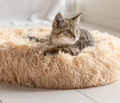 Dehner Lieblinge Kuschelbett Cookie, rund