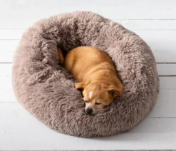Dehner Lieblinge Kuschelbett Cookie, rund