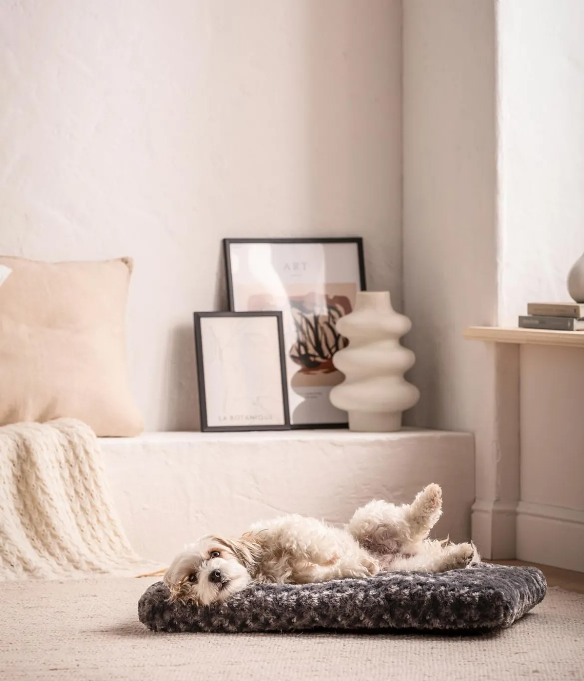 Dehner Lieblinge Kuschelkissen Finley, rechteckig, grau