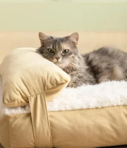 Dehner Lieblinge Kuschelkissen Duchesse, rechteckig